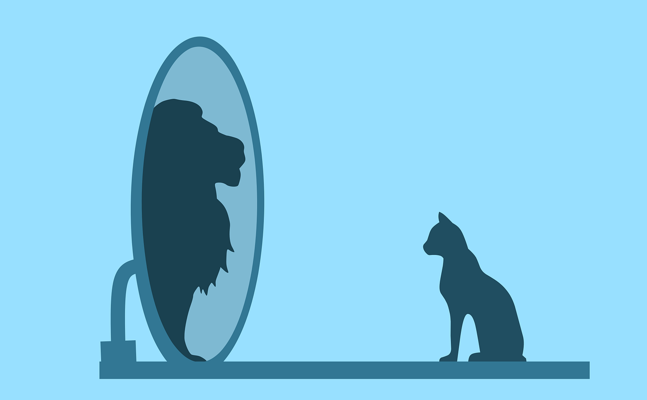 cat, mirror, lion, ego